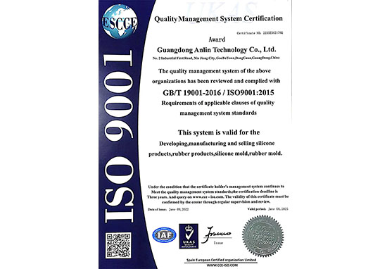 ISO9001英文版