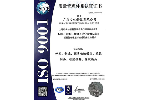 ISO9001中文版